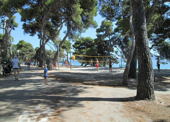 Niksa 돈제페트레케인