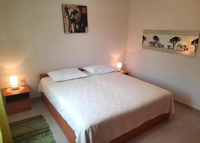 Niksa بيتريتْشاني